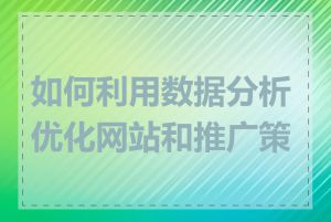 如何利用数据分析优化网站和推广策略