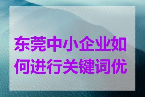 东莞中小企业如何进行关键词优化