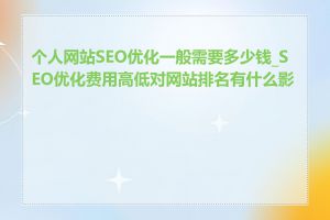 个人网站SEO优化一般需要多少钱_SEO优化费用高低对网站排名有什么影响