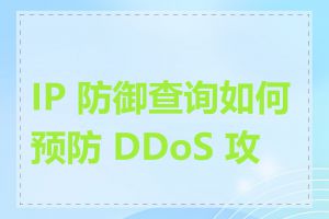 IP 防御查询如何预防 DDoS 攻击