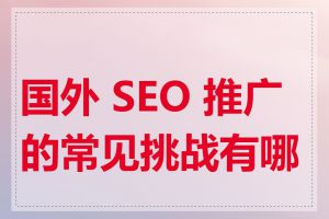 国外 SEO 推广的常见挑战有哪些