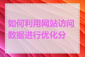 如何利用网站访问数据进行优化分析