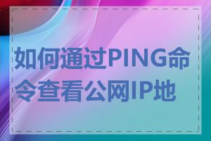 如何通过PING命令查看公网IP地址