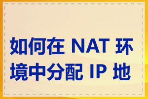 如何在 NAT 环境中分配 IP 地址