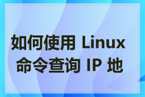 如何使用 Linux 命令查询 IP 地址