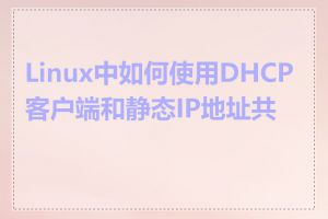 Linux中如何使用DHCP客户端和静态IP地址共存