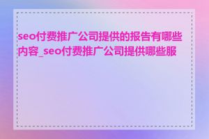 seo付费推广公司提供的报告有哪些内容_seo付费推广公司提供哪些服务