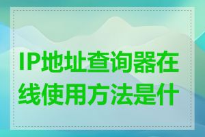 IP地址查询器在线使用方法是什么