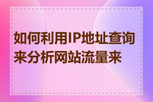 如何利用IP地址查询来分析网站流量来源