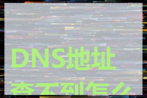 DNS地址查不到怎么办