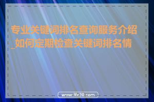 专业关键词排名查询服务介绍_如何定期检查关键词排名情况