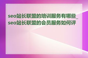 seo站长联盟的培训服务有哪些_seo站长联盟的会员服务如何评价