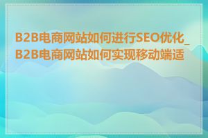 B2B电商网站如何进行SEO优化_B2B电商网站如何实现移动端适配