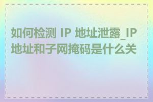 如何检测 IP 地址泄露_IP地址和子网掩码是什么关系