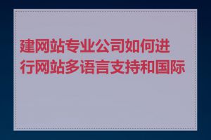 建网站专业公司如何进行网站多语言支持和国际化