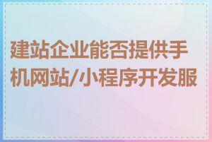 建站企业能否提供手机网站/小程序开发服务