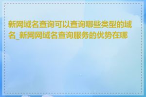 新网域名查询可以查询哪些类型的域名_新网网域名查询服务的优势在哪里