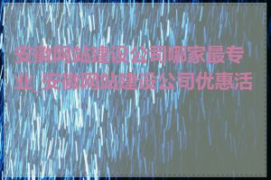 安徽网站建设公司哪家最专业_安徽网站建设公司优惠活动