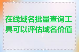 在线域名批量查询工具可以评估域名价值吗