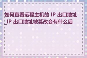 如何查看远程主机的 IP 出口地址_IP 出口地址被篡改会有什么后果