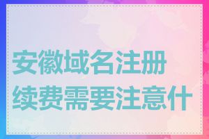 安徽域名注册续费需要注意什么