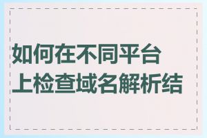 如何在不同平台上检查域名解析结果