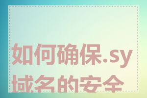 如何确保.sy域名的安全性