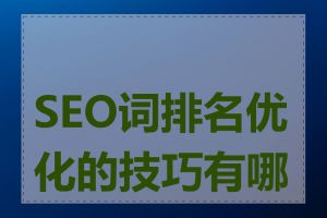 SEO词排名优化的技巧有哪些