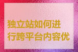 独立站如何进行跨平台内容优化