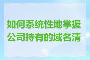 如何系统性地掌握公司持有的域名清单