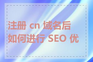 注册 cn 域名后如何进行 SEO 优化