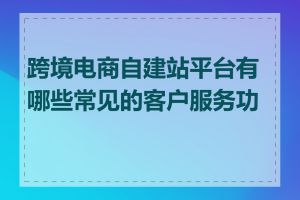 跨境电商自建站平台有哪些常见的客户服务功能