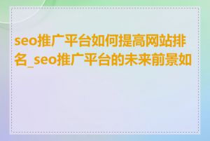 seo推广平台如何提高网站排名_seo推广平台的未来前景如何