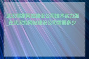 武汉哪家网站建设公司技术实力强_在武汉找网站建设公司需要多少钱