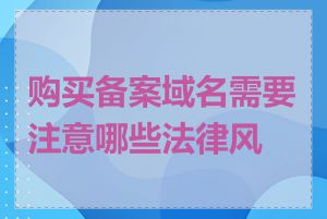 购买备案域名需要注意哪些法律风险