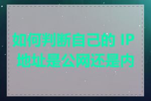 如何判断自己的 IP 地址是公网还是内网