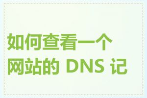 如何查看一个网站的 DNS 记录