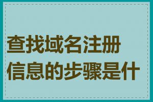 查找域名注册信息的步骤是什么