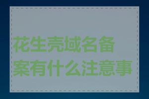 花生壳域名备案有什么注意事项