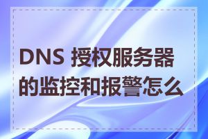 DNS 授权服务器的监控和报警怎么做