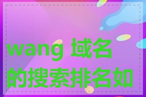 wang 域名的搜索排名如何