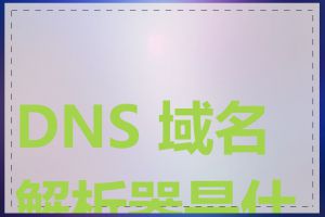 DNS 域名解析器是什么