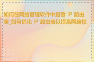 如何在网络管理软件中查看 IP 路由表_如何优化 IP 路由表以提高网络性能