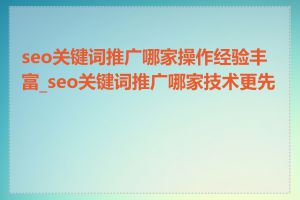 seo关键词推广哪家操作经验丰富_seo关键词推广哪家技术更先进