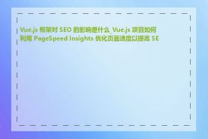 Vue.js 框架对 SEO 的影响是什么_Vue.js 项目如何利用 PageSpeed Insights 优化页面速度以提高 SEO