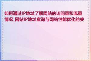 如何通过IP地址了解网站的访问量和流量情况_网站IP地址查询与网站性能优化的关系