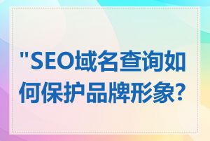 "SEO域名查询如何保护品牌形象?"