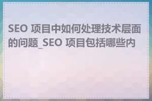 SEO 项目中如何处理技术层面的问题_SEO 项目包括哪些内容