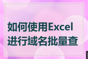 如何使用Excel进行域名批量查询