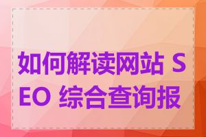 如何解读网站 SEO 综合查询报告